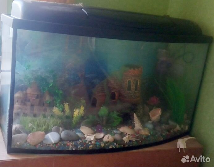 Аквариум