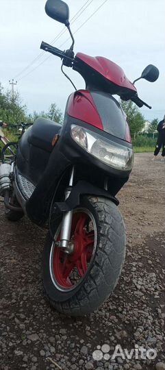 Stels skif 50