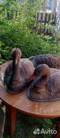 Приманки для охоты