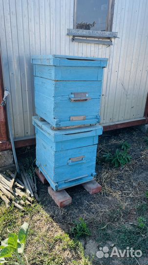 Улей для пчел