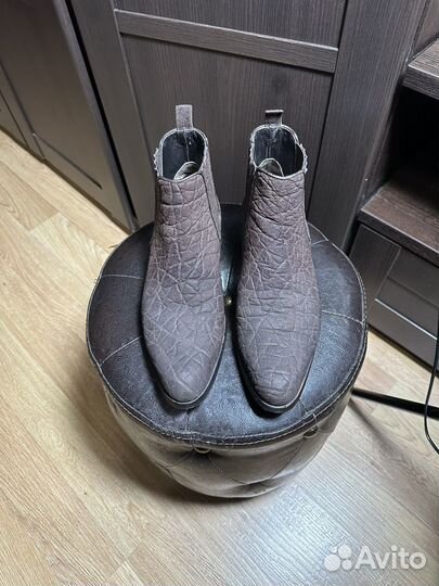 Челси zilli слон оригинал