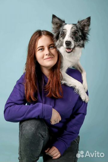 Дрессировка и воспитание собак, кинолог