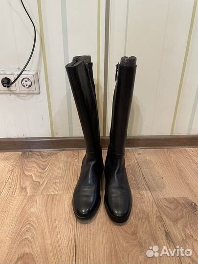 Сапоги женские осенние Ecco