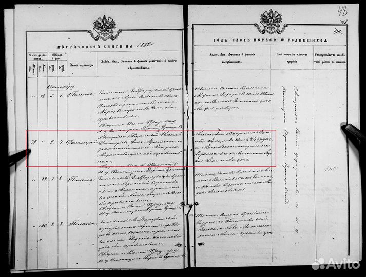 Родословная книга