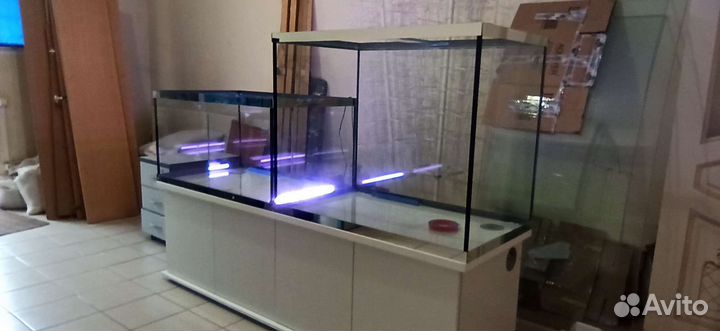Аквариумный комплекс торговли рыбой раками комплек