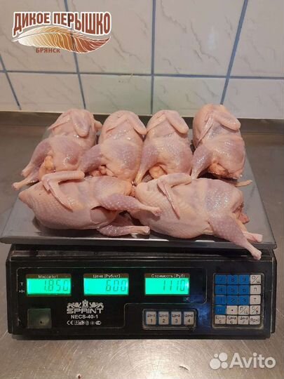 Мясо перепелов