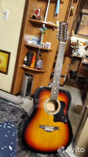 Двенадцатиструнная гитара