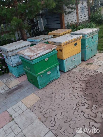 Улей для пчел дадан бу