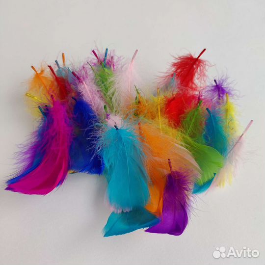 Перья декоративные разноцветные 100 штук