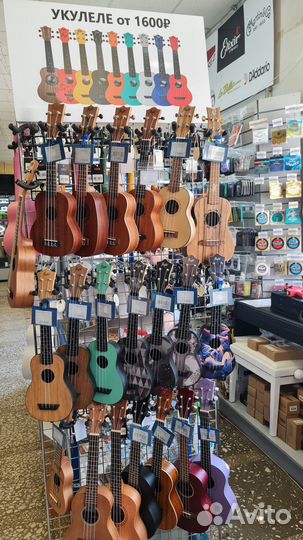 Укулеле 100 наименований от сопранино до баритона