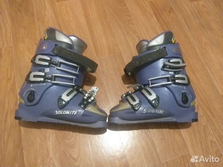 Горные лыжи