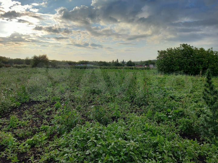 Участок 15 сот. (ИЖС)