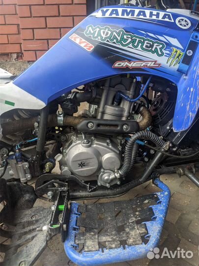 Panthera 250s