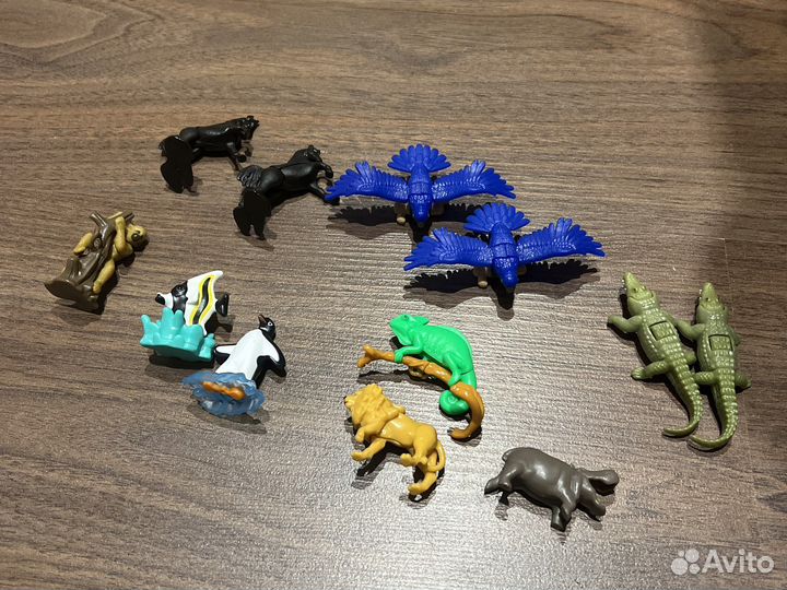 Kinder natoons обмен