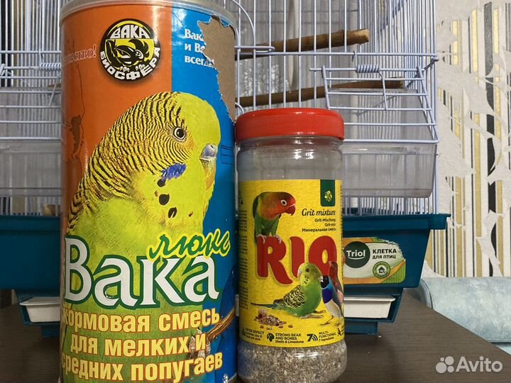 Коетка + корм