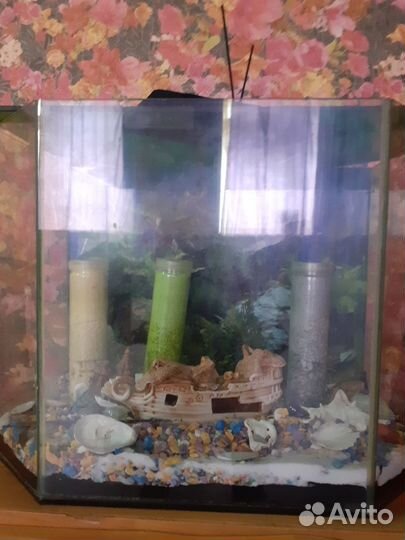Аквариум