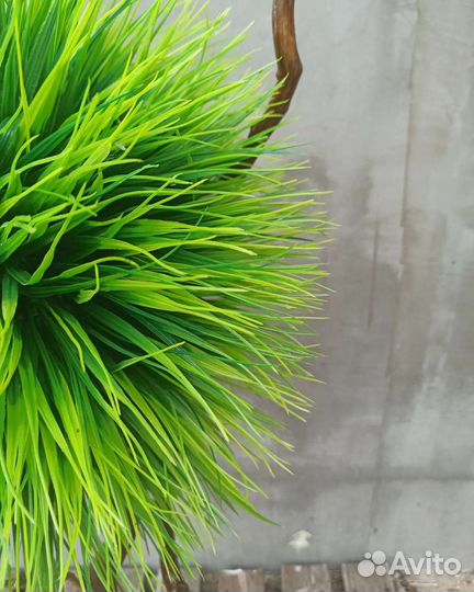 Искусственные деревья. Самшит