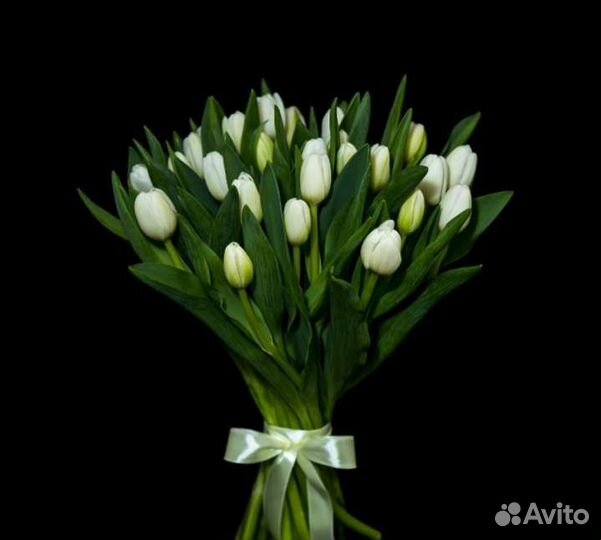 Букет из тюльпанов 25шт