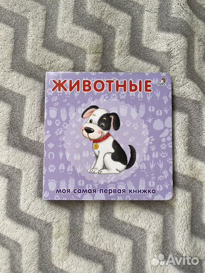 Книжки для малышей