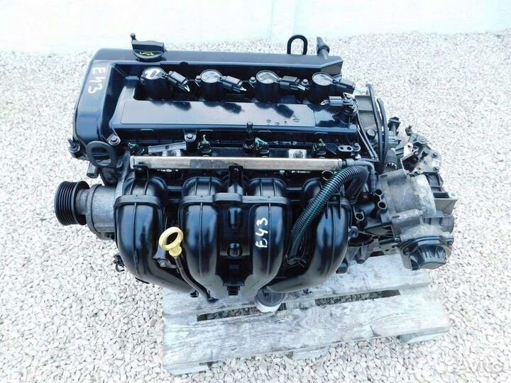 Двигатель Ford Focus 2 2.0 aoda