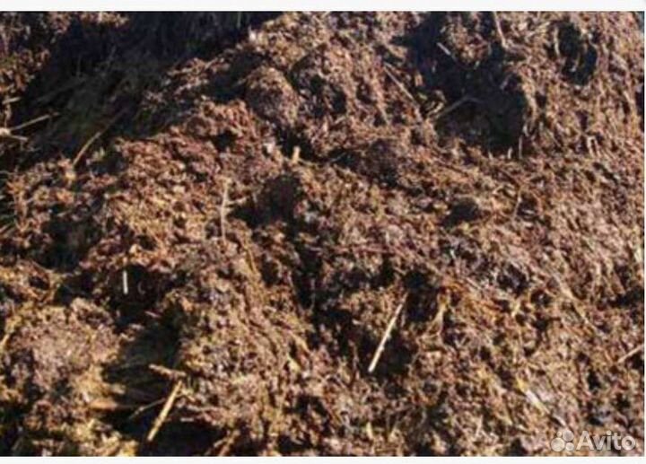 Навоз конский