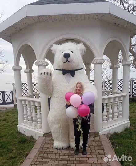 Аниматор мишка