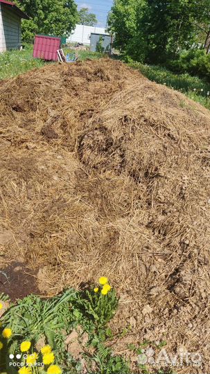 Навоз коровий