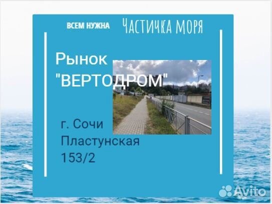 Готовый бизнес, продажа рыбы