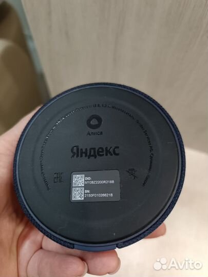 Колонка алиса