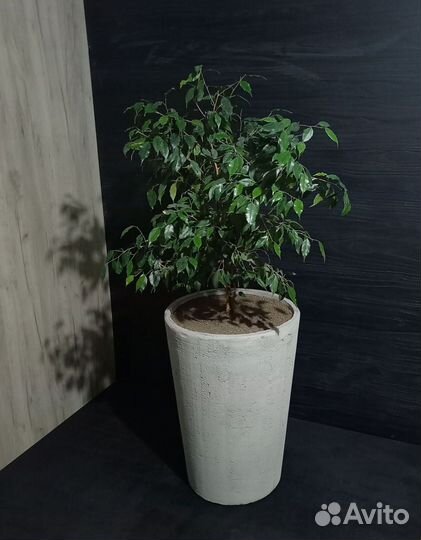 Горшки, Вазоны, Кашпо под заказ из бетона