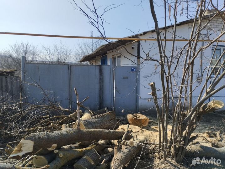 Спил деревьев