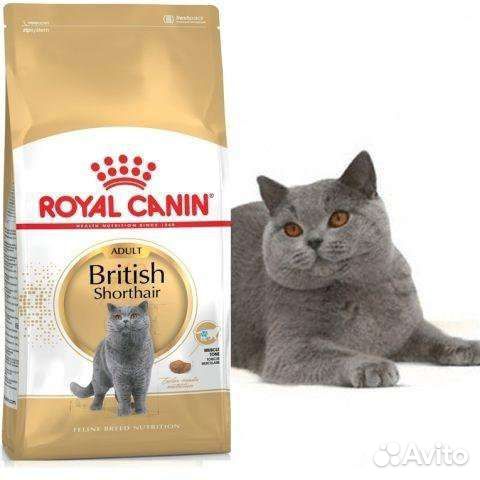 Корм для кошек Роял Канин Бритиш.10кг