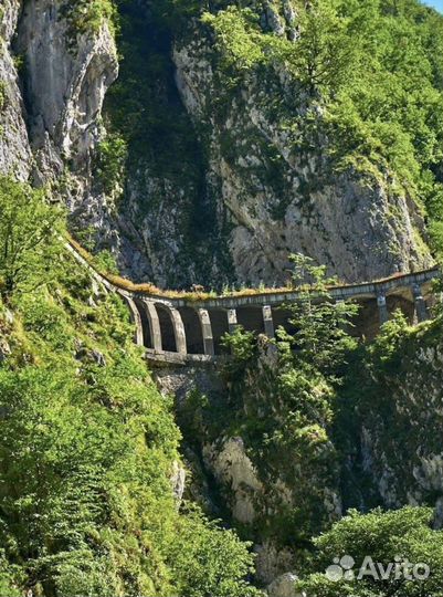 Абхазия отдых 2023