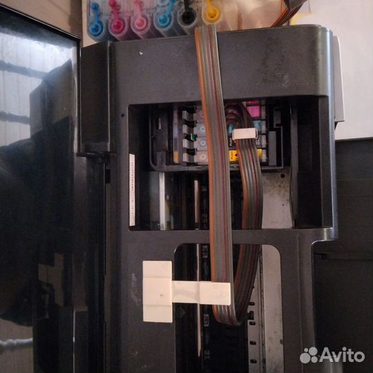 Принтер epson p50