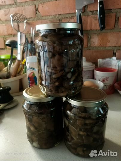 Грибы маринованные опята 2023года