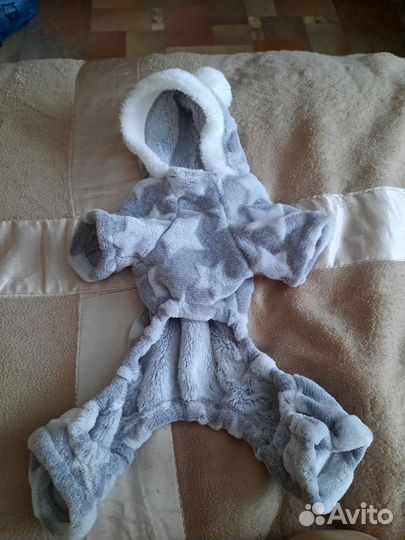 Одежда для собак