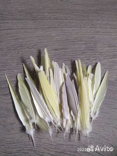 Перо Кореллы для поделок, украшений