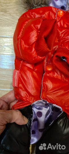 Зимний комбинезон для маленьких собак