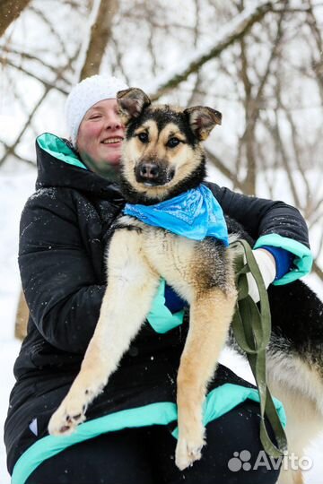Молодая Джейна попала в приют
