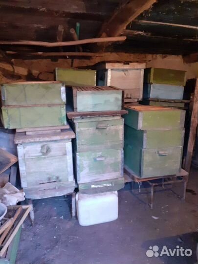 Ульи для пчел