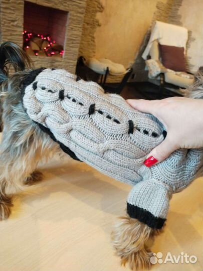 Вязание на заказ теплых вещей для собак и кошек