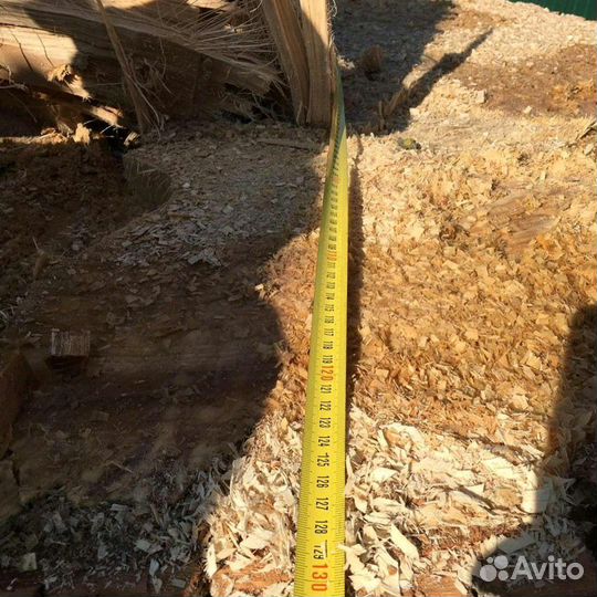 Спил деревьев