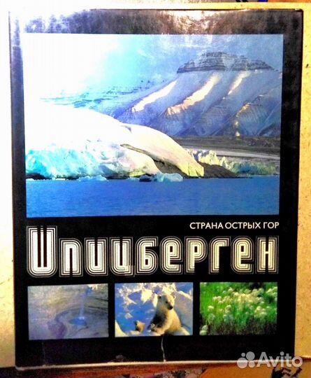 Четыре книги фотоальбома