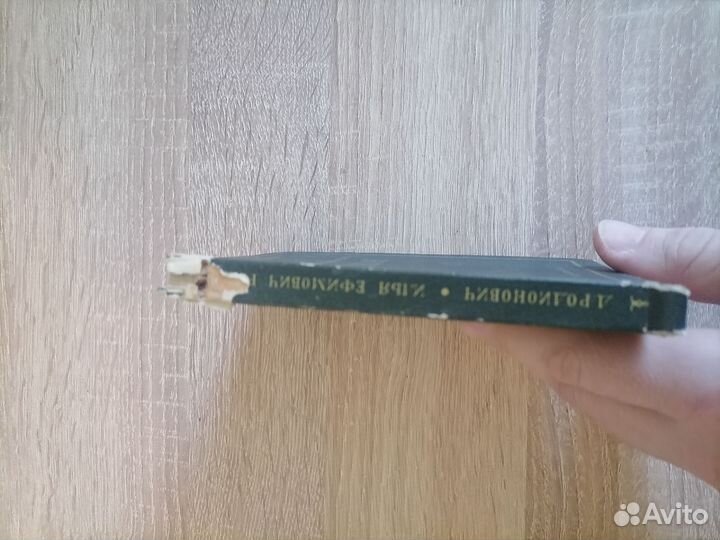 Д. Родионович. Илья Ефимович Репин. Исскуство 1937