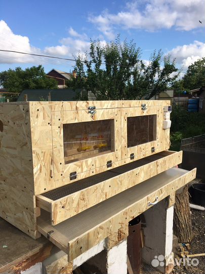 Брудер для цыплят новый