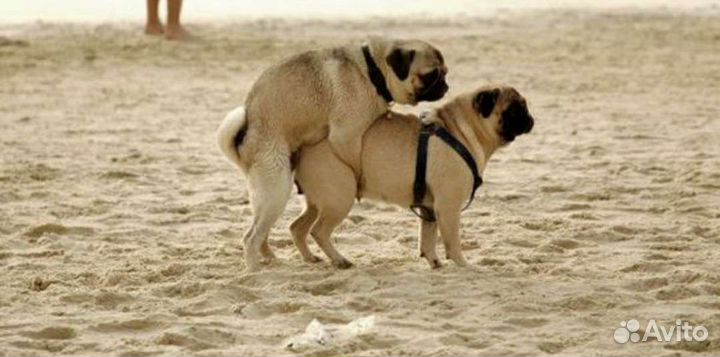 Инструктор по вязкам