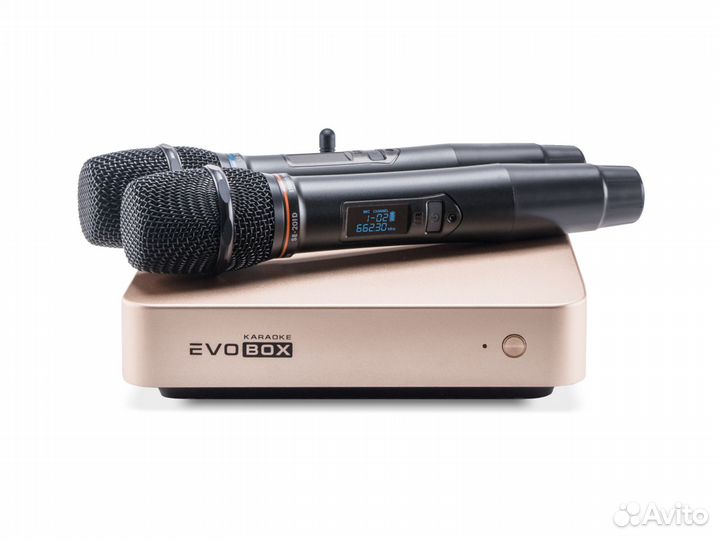 Караоке система с комплектом Evobox VIP plus