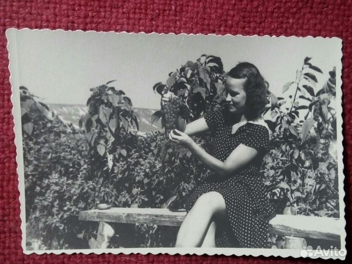 Фото «Вино-Виноград» 3штуки 1920-30 г СССР