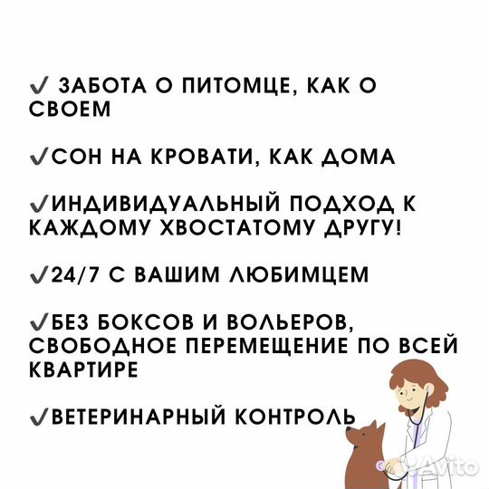 Услуги выгул собак