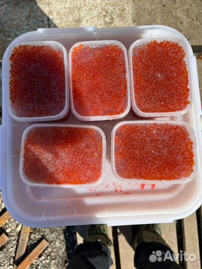 Продам крассную икру 2023